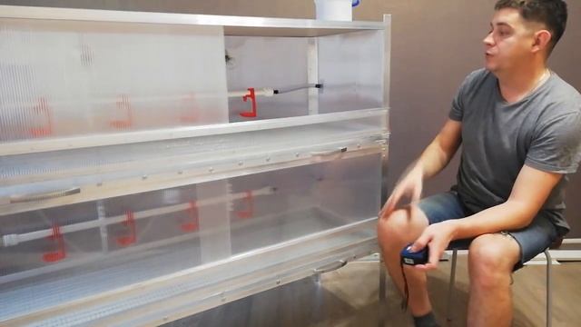 брудер для цыплят своими руками