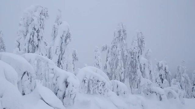 Камень Полюд. Зимняя сказка!
