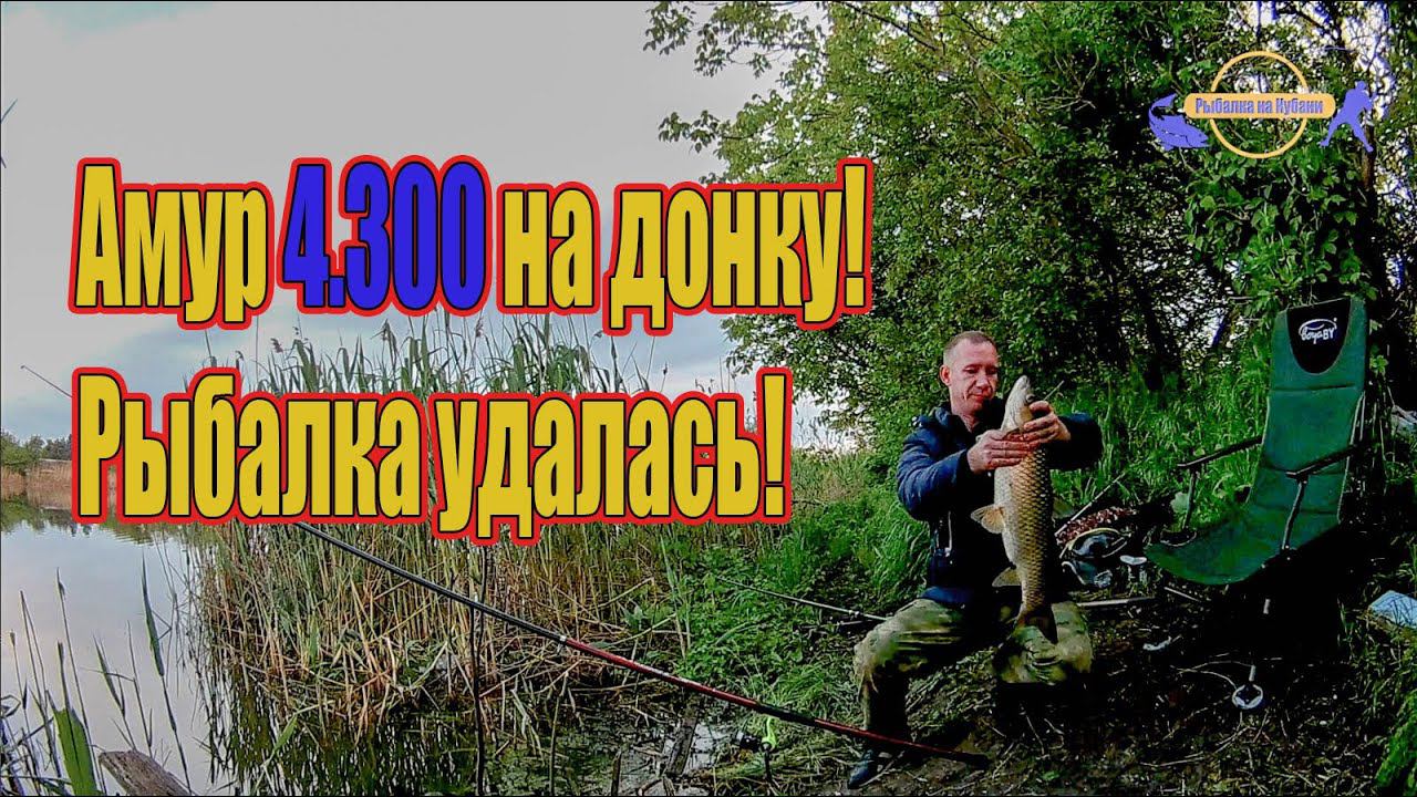 Амур 4.300 на донку! рыбалка удалась! /// Рыбалка на Кубани 2022 /// Выпуск № 24