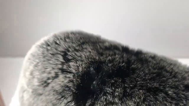 Мужская ушанка из меха кролика