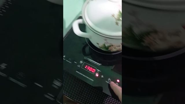 Індукційна електроплита Esperanza EKH006. Випробування і перші враження від експлуатації.