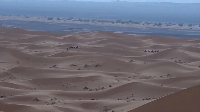 Почему в пустыне нет воды  All About