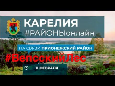 Глава Карелии про Вепсский Лес