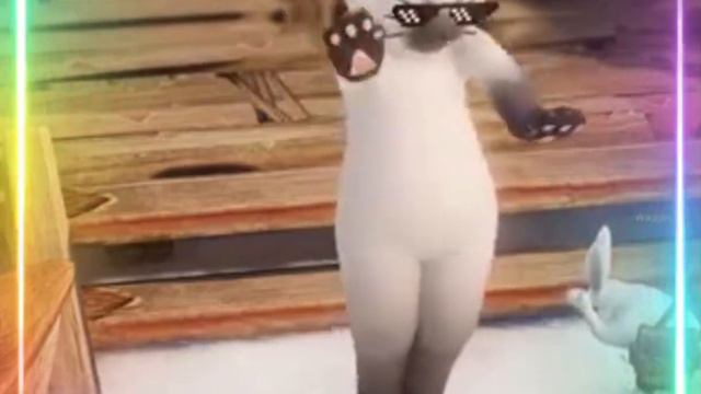 //Go Kitty Go meme//Lost Ark Cat Suit//