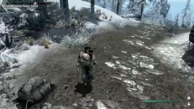 Let's Play Skyrim part 123
