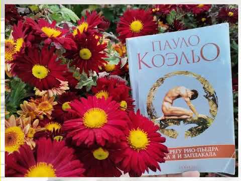 Все работы участников акции "Каникулы с любимой книгой"