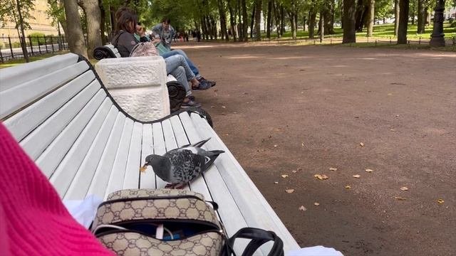 ПИТЕР || НЕДЕЛЯ ВЛОГОВ || ДЕНЬ 2 || голуби съели все наши пышки