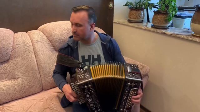 Наигрался от души☺️ Песни, вальсы на гармони! Тульская мастеровая гармонь!