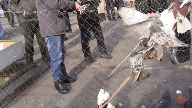 Продолжение ярмарке в Новоэкономическом 20.02.2021 г