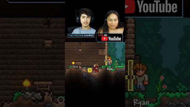 Deliberately destroying the house | #terraria
