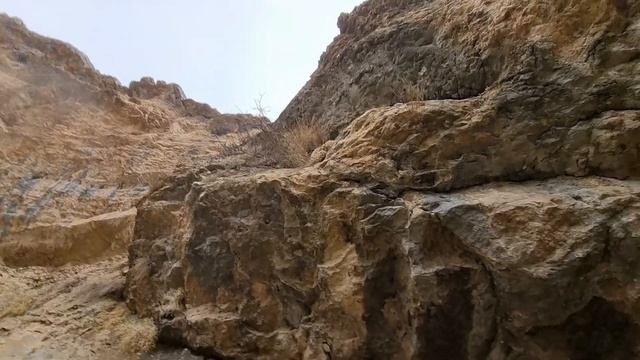 Nomadic life:Police arrested the nomadic boy and the widow was left alone in the cave with her chil