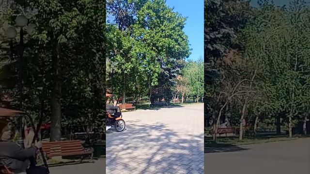 Городской сад Краснодар 🌞 что посмотреть в Краснодаре. Прогулка по парку