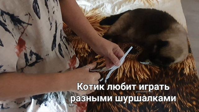 Игрушка для котика