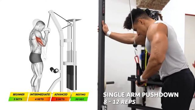 6 Biceps and Triceps Exercises To Try In Your Next Workout !!