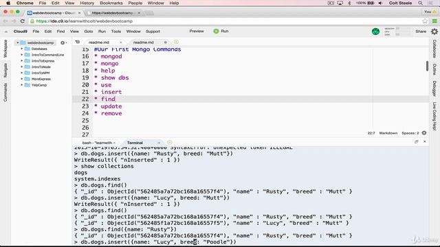 3.  Mongo Shell Basics  | Full Tutorial for Beginners |