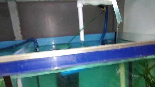 Аквариум Донецк рыбки фильтр самоделки Ростов