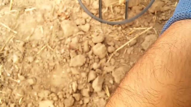 Отых,КОП,Шашлык,Garrett ace 250,Garrett AT Pro,Minelab X-Terra 705 