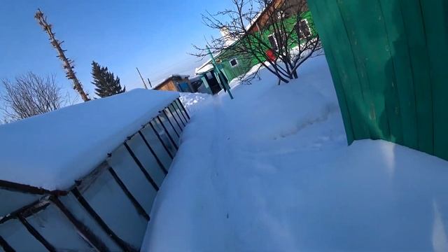 В этот солнечный февральский день топлю баню / Коты???⛄?❄??