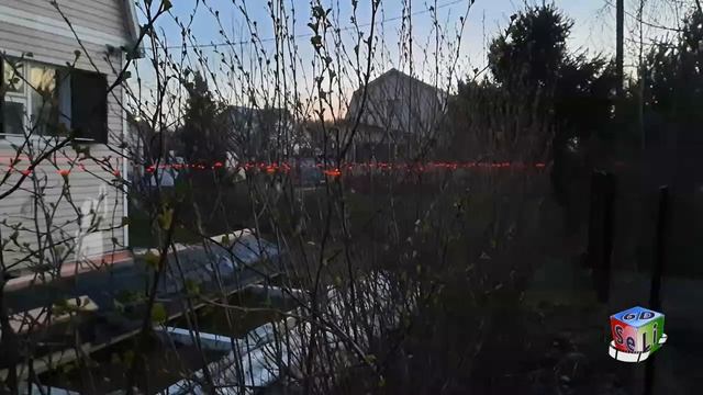 2D. Стрижка кустов с помощью лазераCutting busheswith а laser