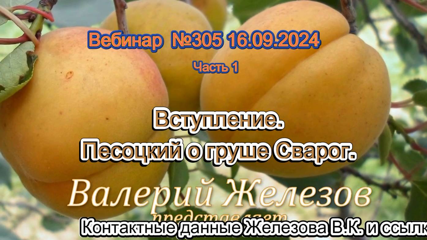 Железов Валерий. Вебинар 305. ч.1. Вступление. Песоцкий о груше Сварог.