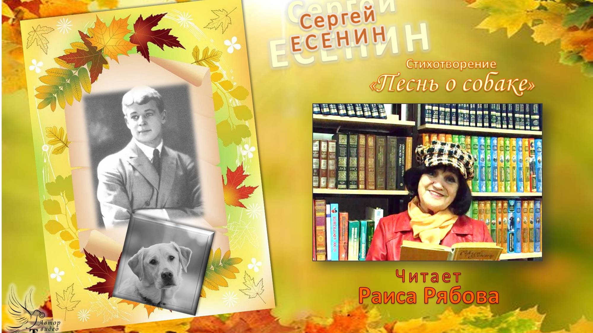 Сергей Есенин. «Песнь о собаке». Читает Раиса РЯБОВА