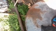 Скибиди пародия 16