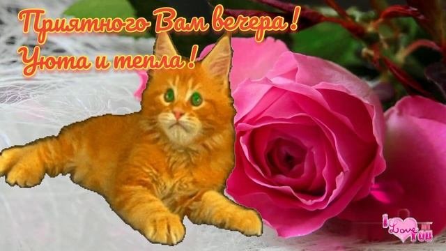 Добрый вечер ! Пожелание приятного вечера. Музыкальная открытка.
