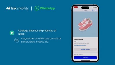 WhatsApp Business API (2024)