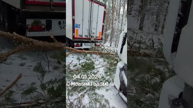 Дальнобойщику очень повезло