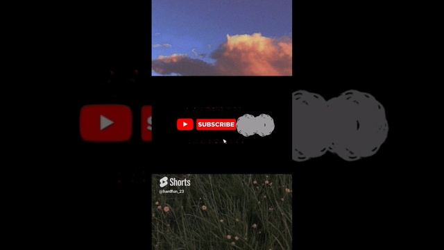 1000013527.mp4