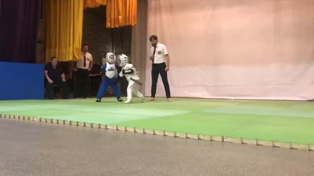 КУДО Дети 5-6 лет Ярославль Дамир слева