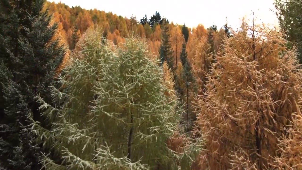 Пятничная проповедь. г. Стерлитамак. Мухаммад хазрат. Школа богобоязненности 5/7