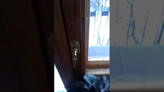 Школота балуется с реактивами
