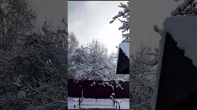 Он такой белый и пушистый  нарядил деревья и кусты.