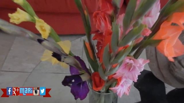 Beautiful Gladiolus