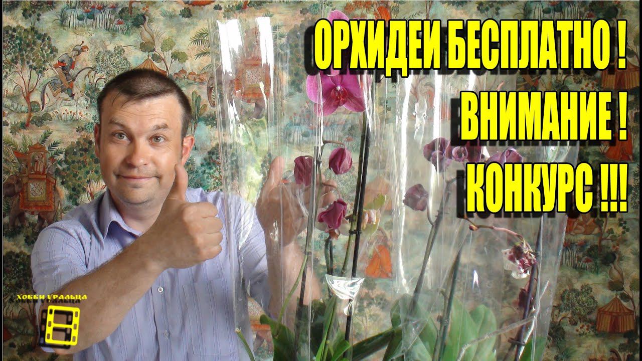 ОРХИДЕИ БЕСПЛАТНО! ВНИМАНИЕ! КОНКУРС! #Орхидеи #Конкурс