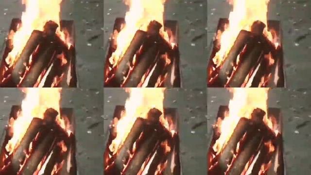 Сегодня выходной