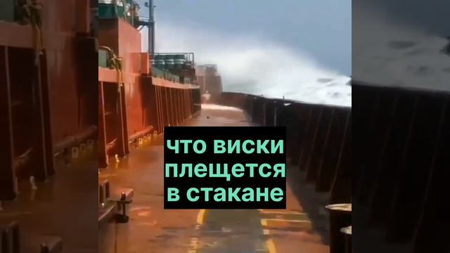 Как не корми морского волка, 
А он всё смотрит в океан.