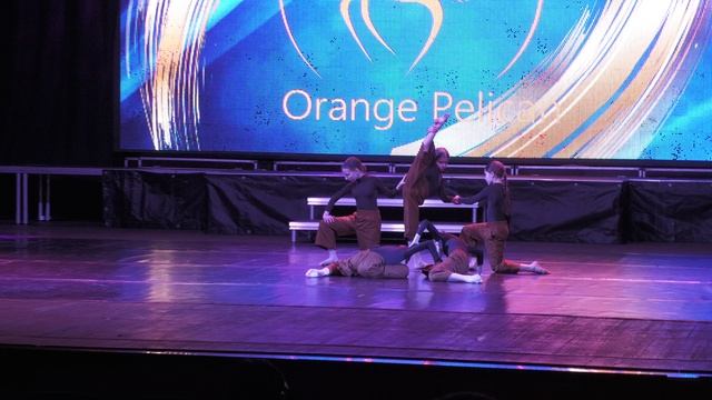 Orange Pelican Festival of modern choreography, Dnepropetrovsk (Ukraine) 2024.