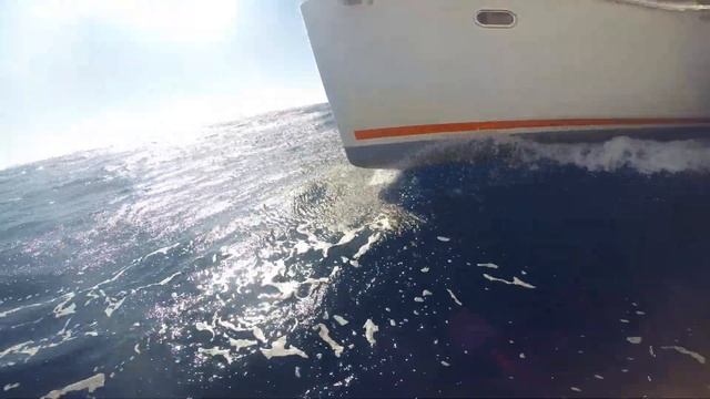 Парусный катамаран в адриатике