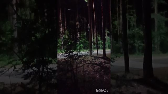 ночь в Питере