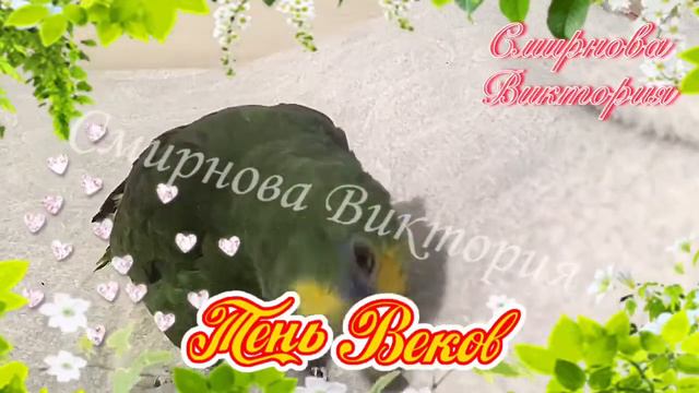 💕Попугай Амазон знакомится с Бритатоночной (угадайте как её зовут?!)✨