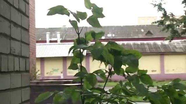 МЧС предупреждает: в Ярославской области ожидаются ливни и грозы