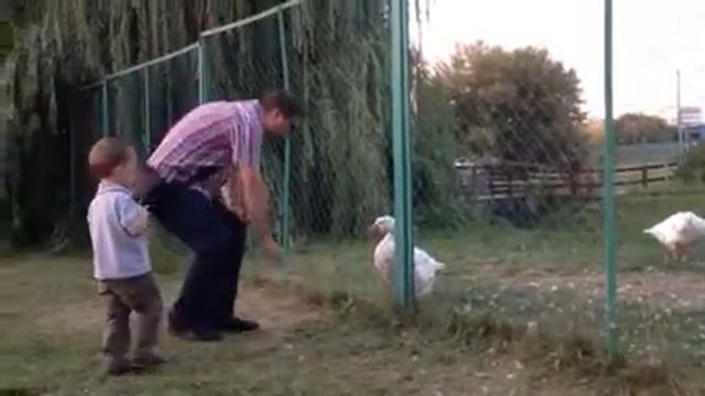 Мишутка и гуси-лебеди
