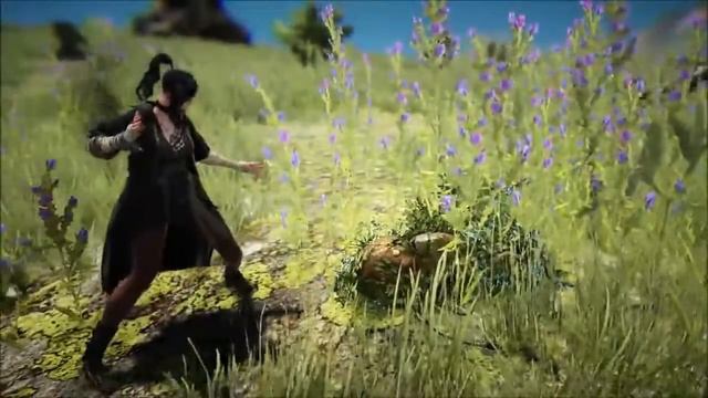 Скилы колдуньи Black Desert Online