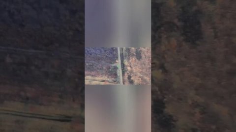 Демилитаризация самоходной артиллерийской установки ВСУ