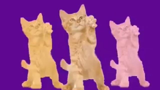 Закат солнца, конец жизни, но…
