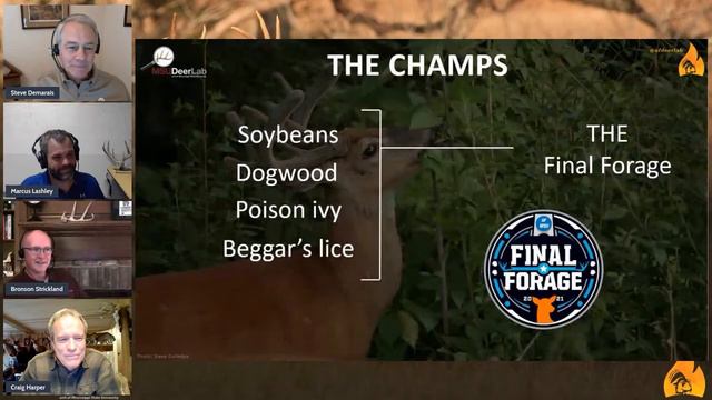 CHAMPIONSHIP | FINAL FORAGE