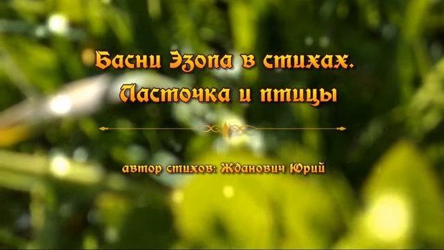 Басни Эзопа в стихах. Ласточка и птицы