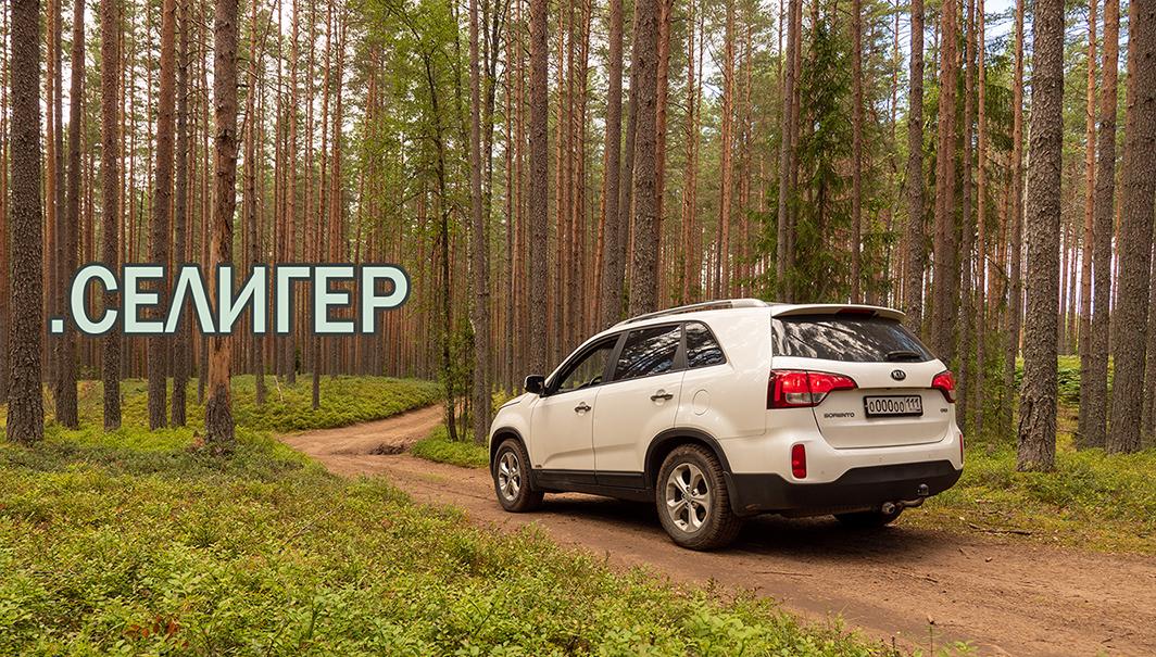 Селигер. Кемпинг. Ну чё, как съездили? Обзор лагеря.